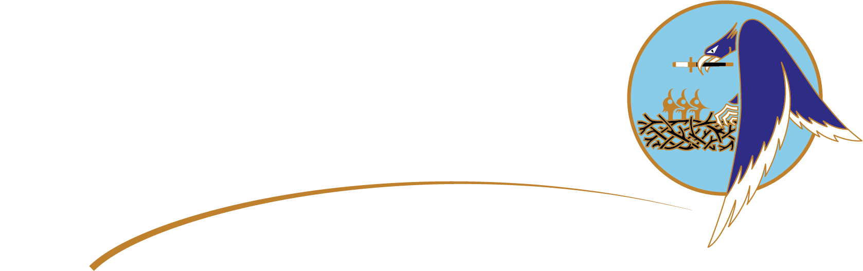 Air and Space Force Academy